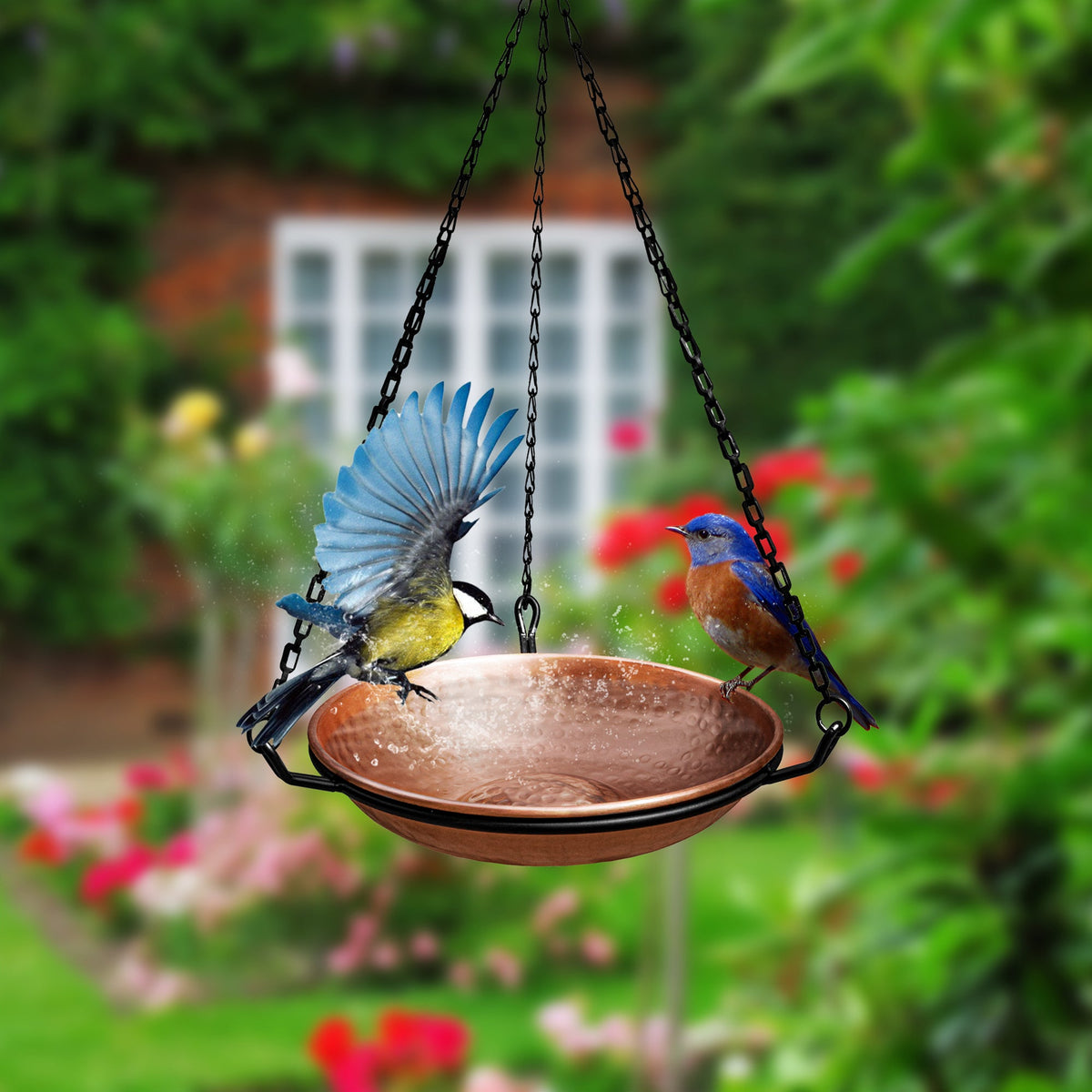 Pure Copper 11 inch Diameter Bird Bath, Bird Feeder with Hanging Chain